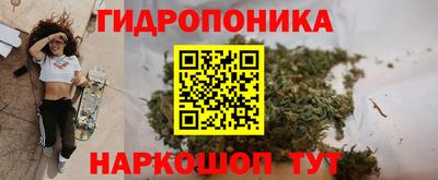 сатива Рязань