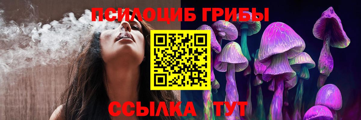 Псилоцибиновые грибы MAGIC MUSHROOMS  Вход с VPN  Славгород 